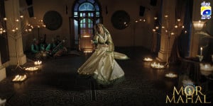 Mor Mahal-7 Elements That Make  (8)