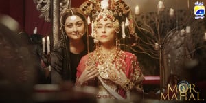 Mor Mahal-7 Elements That Make  (4)