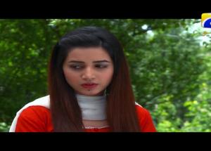 Tishnagi Dil Ki - Episode 25 | Har Pal Geo