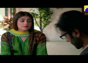 Ghar Titli Ka Par - Episode 30 | HAR PAL GEO