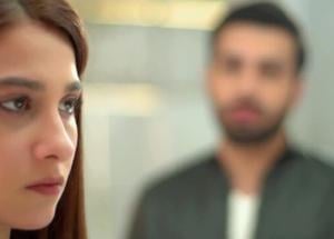 Dil Zaar Zaar - Last Episode - Hina Altaf - Sami Khan - Azfar Rehman - 30th May 2022 - HAR PAL GEO