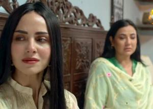 Zindagi Aik Paheli Episode 28 - Haroon Shahid - Nimra Khan - 27th Nov 2022 - HAR PAL GEO