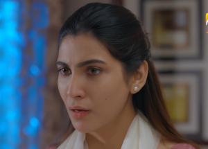 Jinzada Episode 25 - Syed Jibran - Nazish Jahangir - Saad Qureshi - 15th August 2023