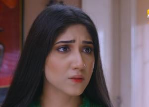 Jinzada Episode 27 - Syed Jibran - Nazish Jahangir - Saad Qureshi - 17th August 2023