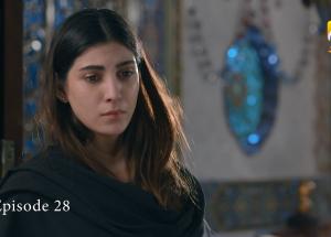 Jinzada Episode 28 - Syed Jibran - Nazish Jahangir - Saad Qureshi - 18th August 2023