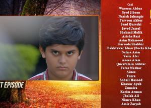 Jinzada Episode 29 Teaser - 18th August 2023 - HAR PAL GEO