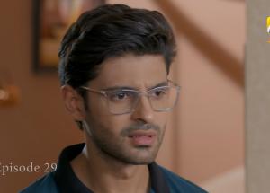 Jinzada 2nd Last Episode 29 - Syed Jibran - Nazish Jahangir - Saad Qureshi - 19th August 2023