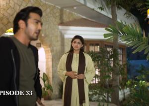 Tere Mere Sapnay Episode 33 - Shahzad Sheikh - Sabeena Farooq - 9th April 2024