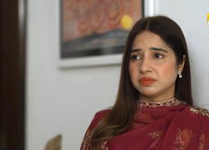 Tere Mere Sapnay 2nd Last Episode 38 - Shahzad Sheikh - Sabeena Farooq - 13th April 2024