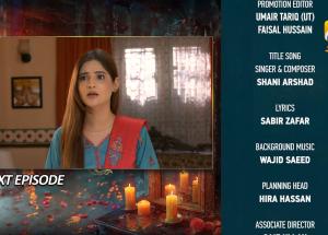 Bayhadh Episode 37 Teaser - 28th August 2024 - Har Pal Geo