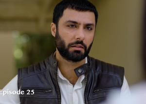 Sanwal Yaar Piya Episode 25 - Feroze Khan - Durefishan Saleem - Ahmed Ali Akbar - Yasir Nawaz - HAR PAL GEO