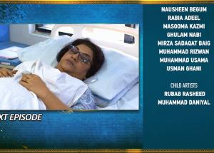 Bahar Nagar 2nd Last Episode 116 Teaser - 14th December 2025 - HAR PAL GEO