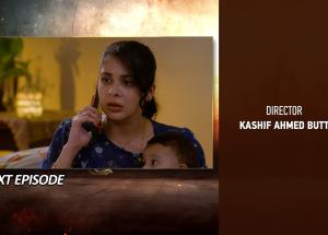 Shikanja Episode 33 Teaser - 14th December 2025 - HAR PAL GEO