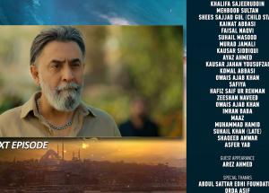 Humrahi Episode 21 Teaser - 30th May 2026 - HAR PAL GEO