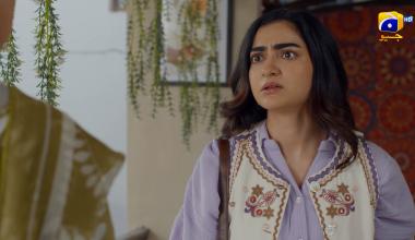 Beti Ka Ghar Konsa Episode 19 | Humayoun Ashraf - Momal Sheikh - Ali Abbas - Namra Shahid | HAR PAL GEO